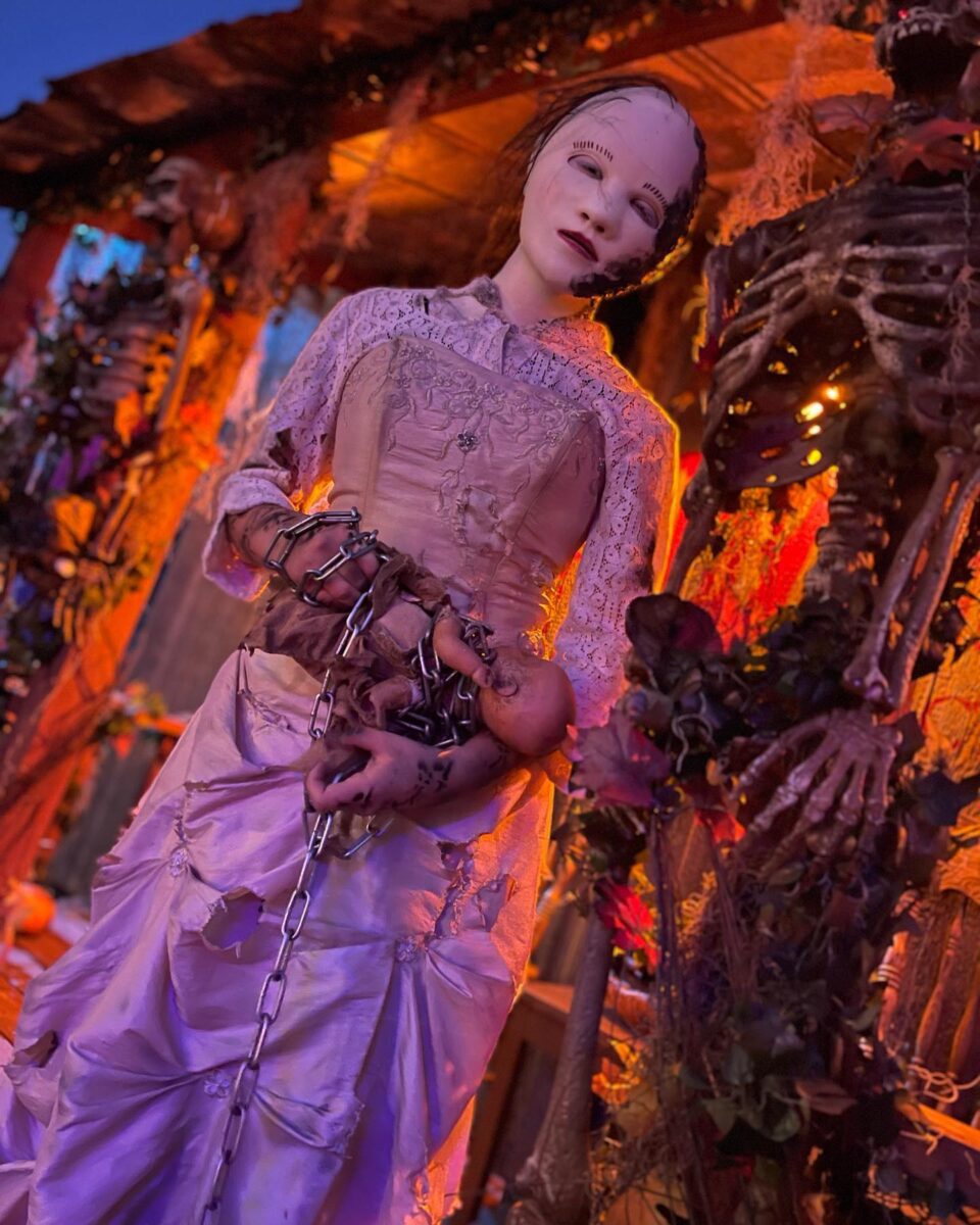 Visit MADWORLD's haunted house in Greenville SC, and you'll be introduced to over 150 of the creepiest and scariest Halloween characters in all of South Carolina. Interact with at your own risk.